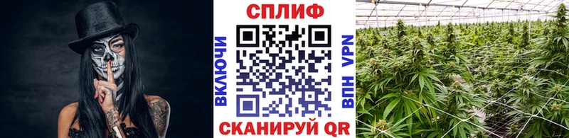 Купить наркотики цена Буинск Бошки Шишки  КОКАИН  Alpha PVP  Мефедрон  Гашиш 