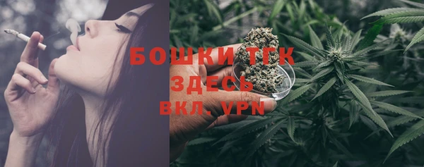 таблы Богородицк