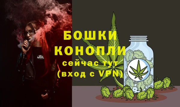 таблы Богородицк