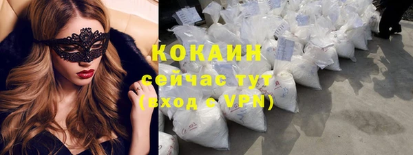 таблы Богородицк