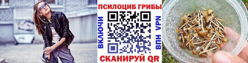 даркнет формула  Буинск  Галлюциногенные грибы MAGIC MUSHROOMS  как найти закладки 